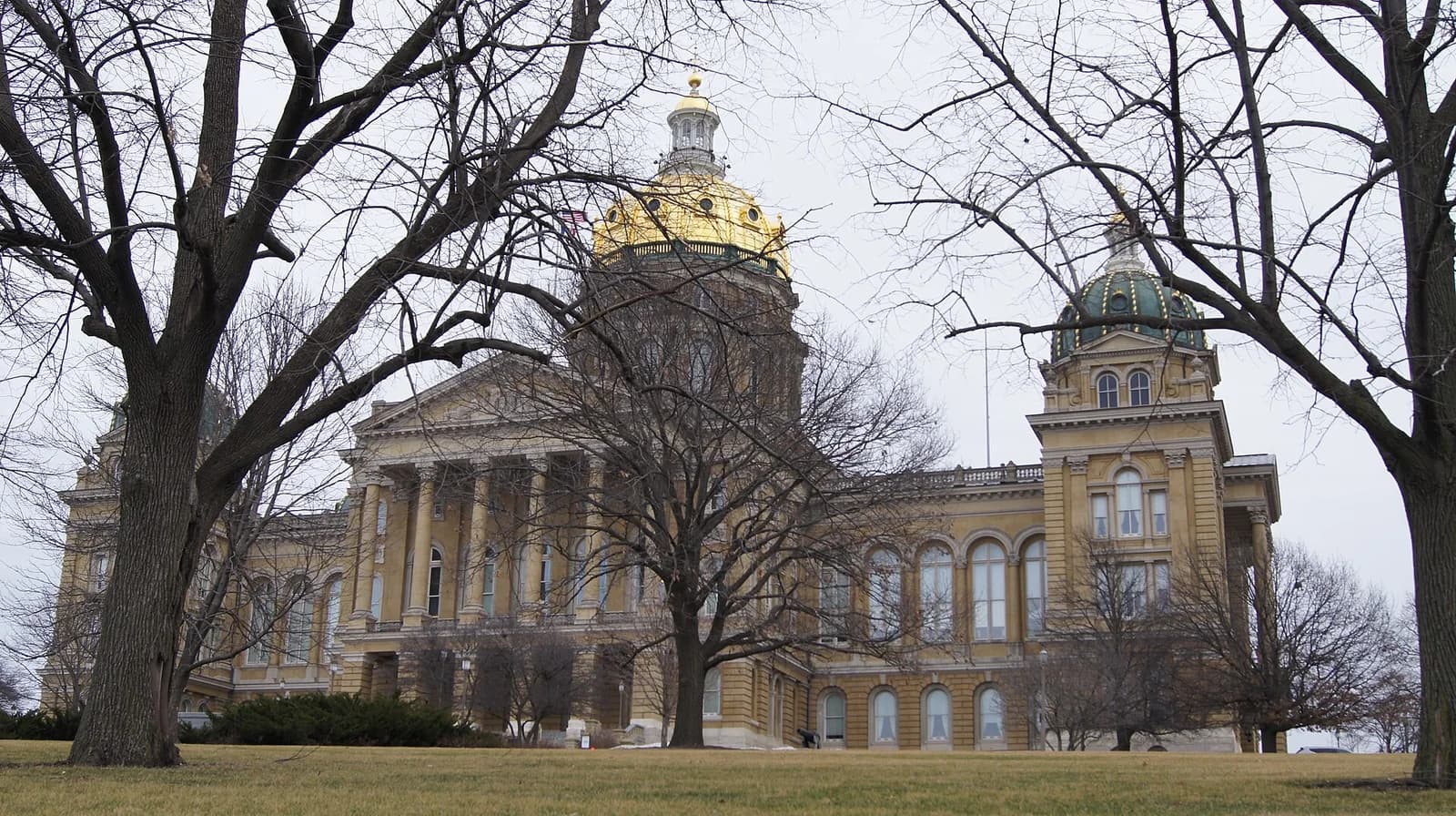 A large, ornate building with a prominent golden dome and a smaller green dome is seen through the bare branches of several trees. The building features classical architectural elements, including columns and arched windows, and sits on a grassy hill under an overcast sky.