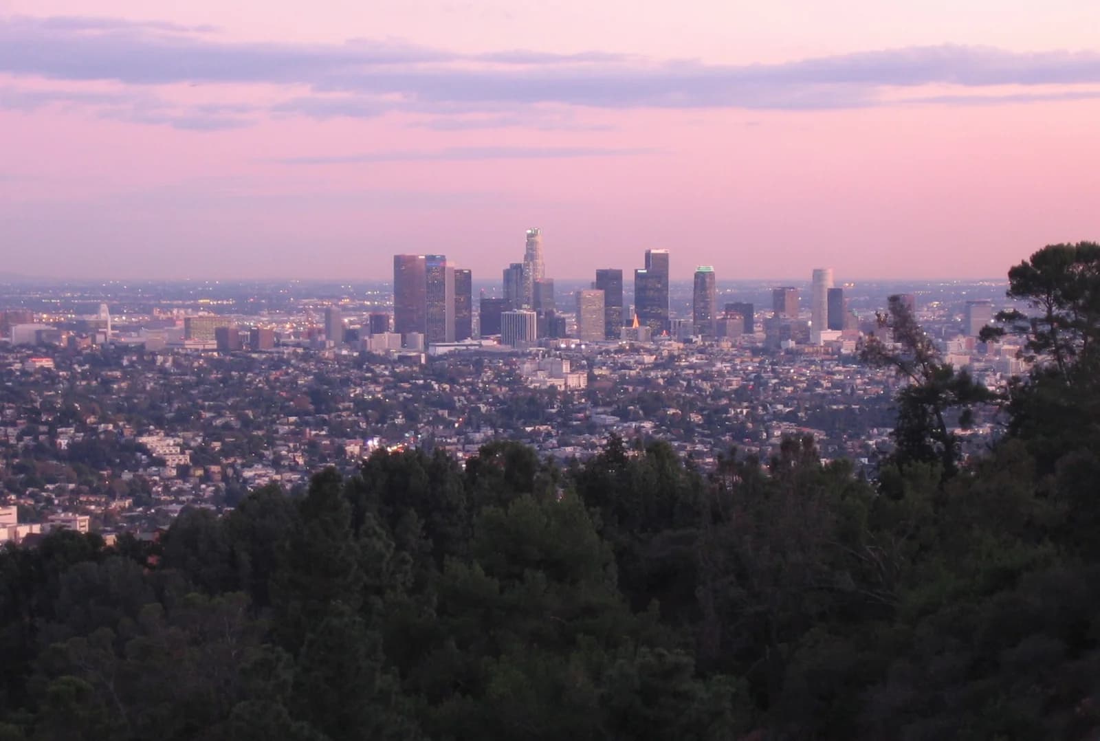 A wide shot of a city skyline at dusk, with numerous tall buildings visible against a pink and purple sky. The foreground is dominated by dark green trees and hills, with residential areas visible between the trees and the distant city center.