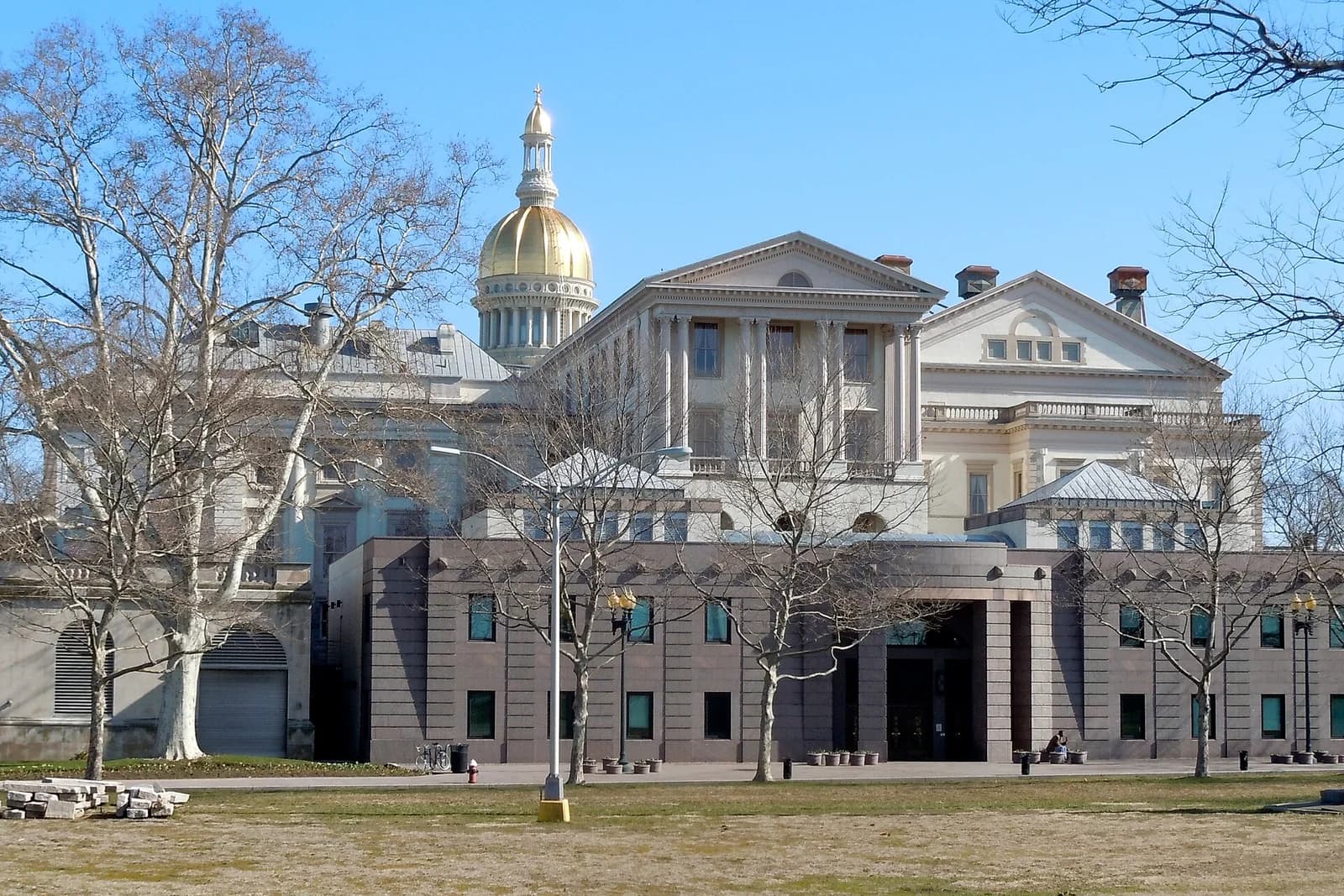 A large, ornate building with a golden dome and classical columns stands behind a modern, dark-colored building with a curved entrance. Bare trees are scattered across the foreground and midground, with a grassy area in front.