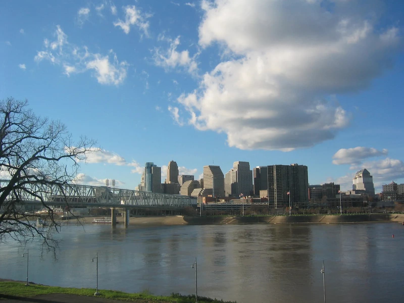 A cityscape view across a wide river shows a skyline of various buildings under a blue sky with white clouds. A large metal truss bridge spans the river, and a bare tree branch is visible in the foreground on the left.
