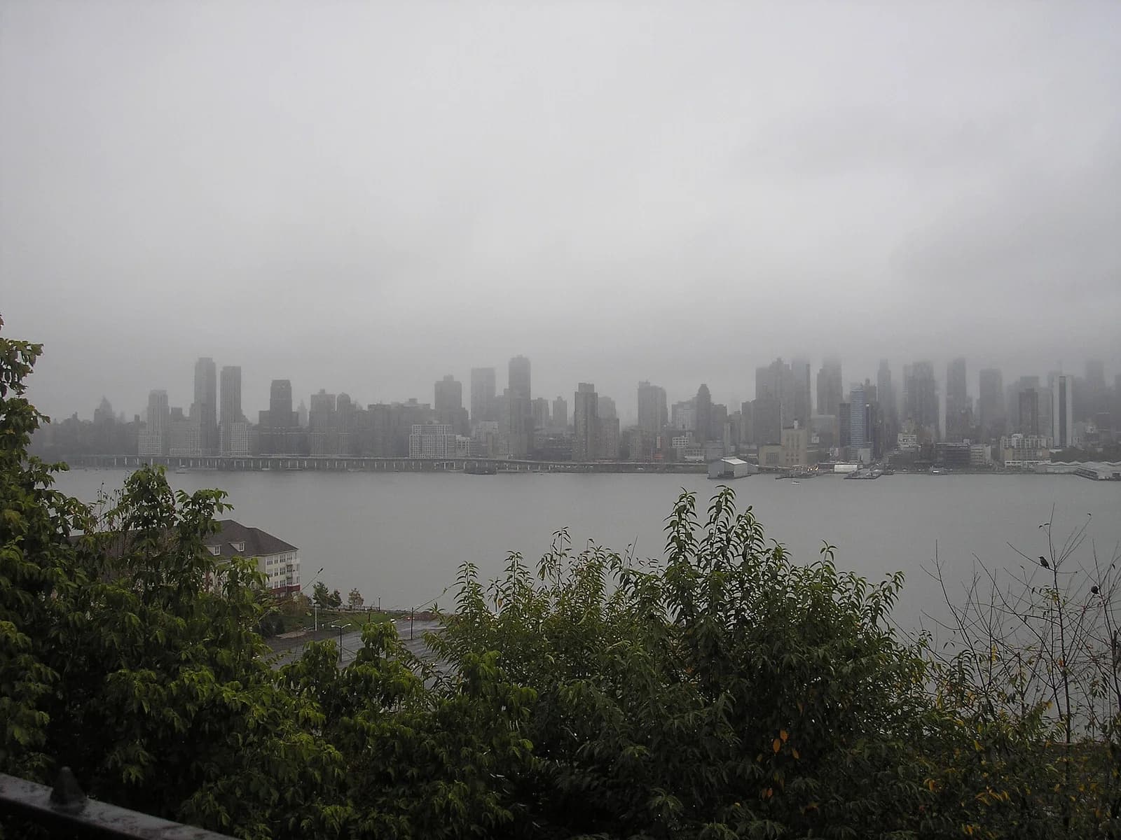 A cityscape is visible across a body of water on a foggy day, with tall buildings partially obscured by mist. Green trees and a small building are in the foreground.