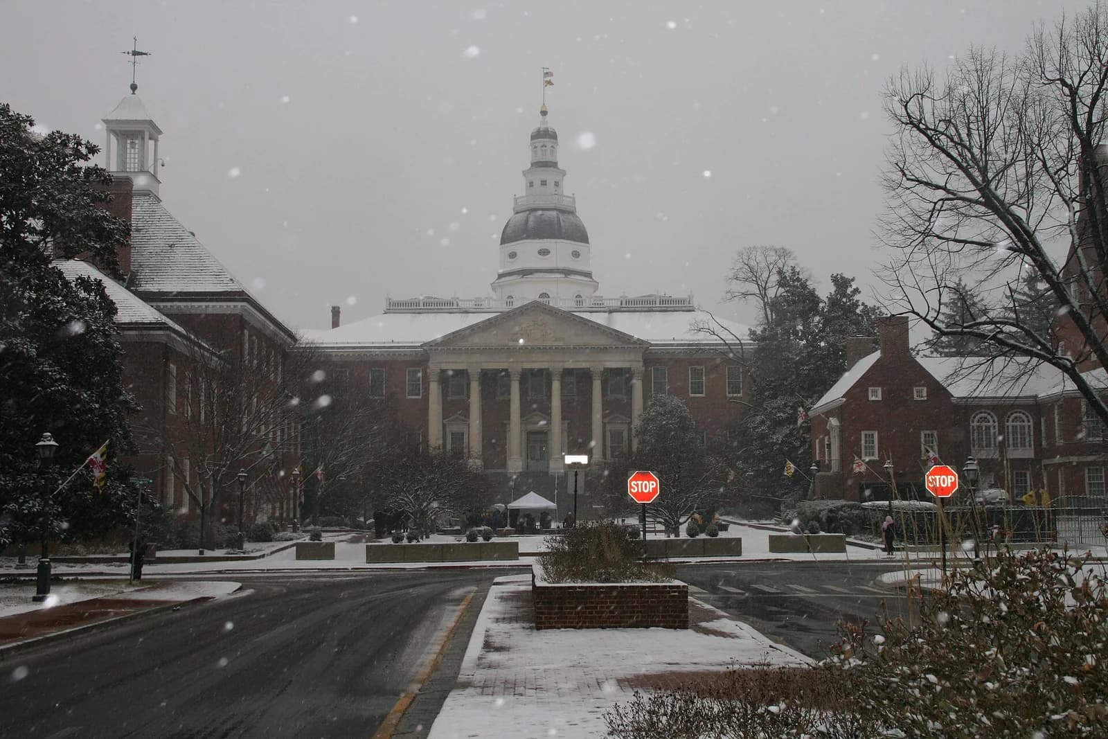 A large brick building with a white dome and cupola is visible behind a snow-covered street and grounds. Snowflakes are falling, and the trees are bare or covered in snow.