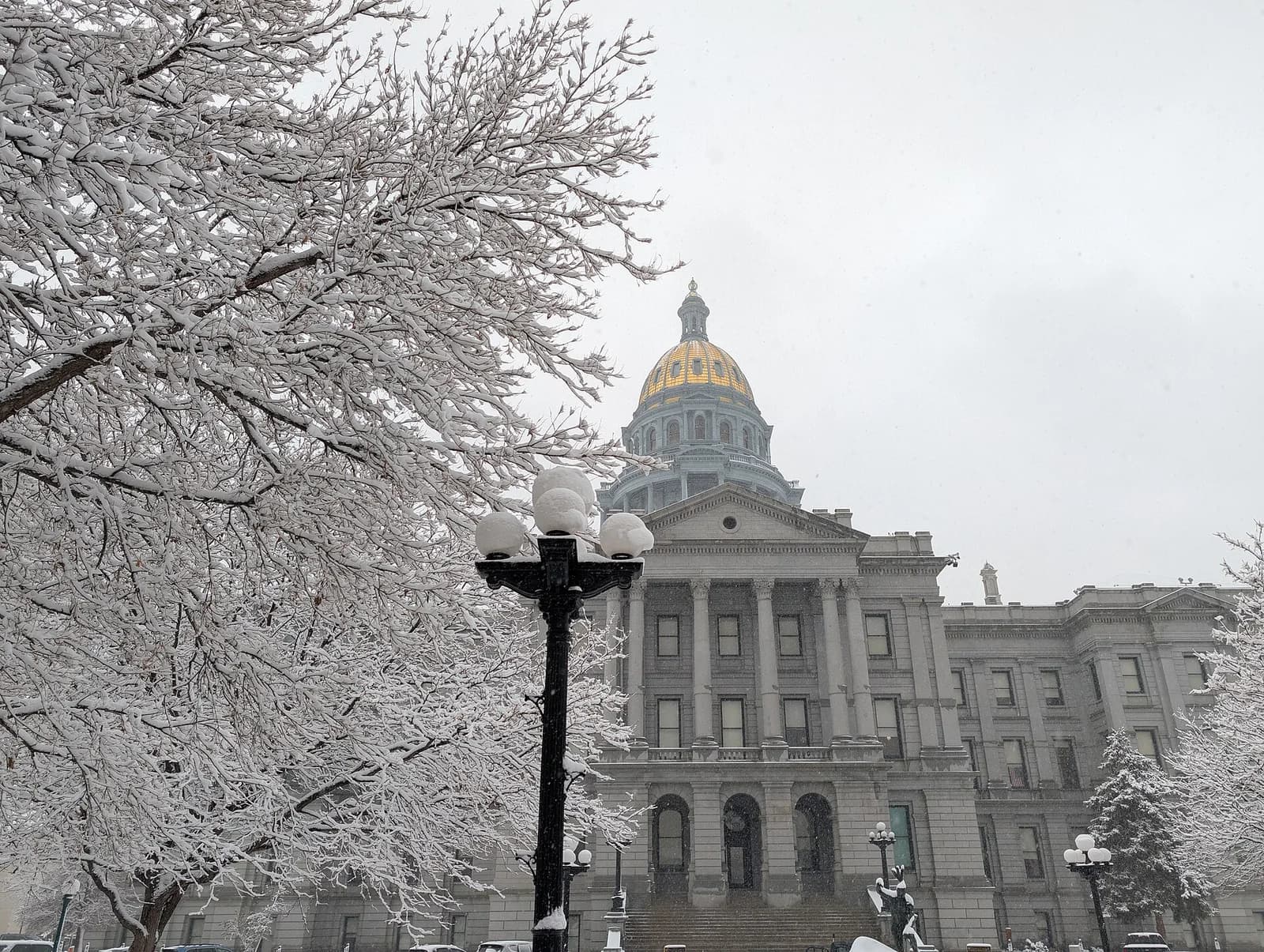 A large, grey stone building with a golden dome is partially obscured by snow-covered tree branches and a lamppost. Snow is falling, covering the trees and the ground around the building.